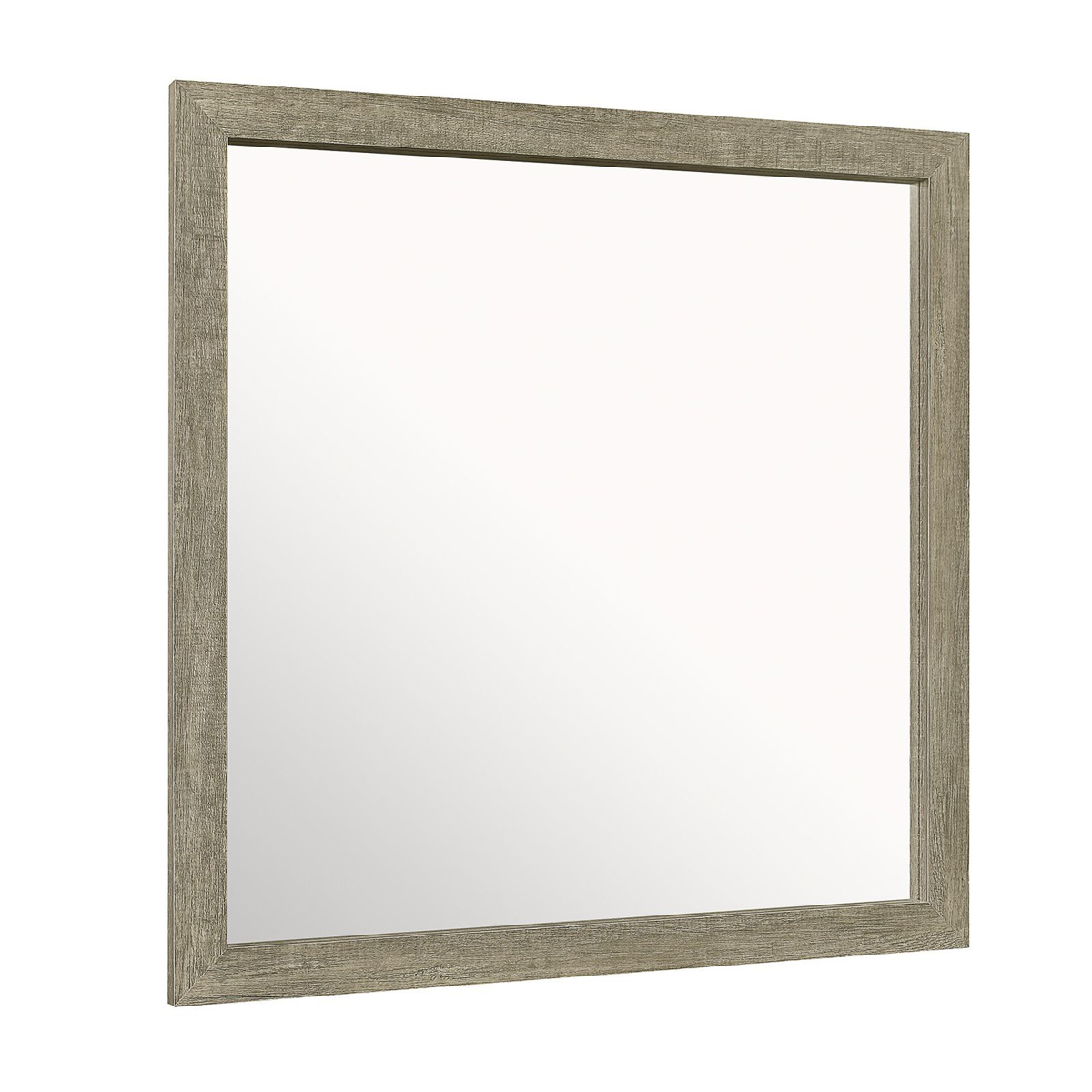 Picture of SP-MIRROR